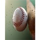 Fall Baseball Clinics